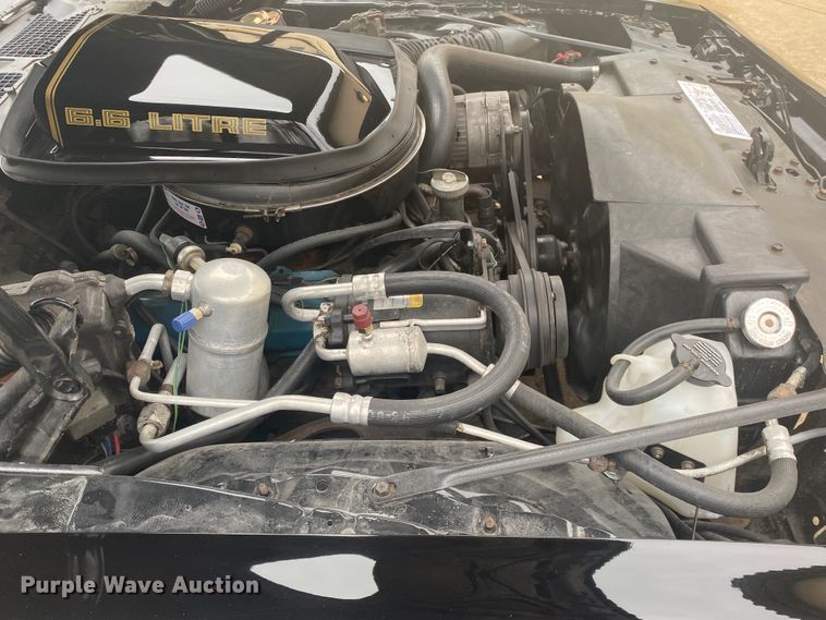 image for item DM4045 1979 Pontiac Trans Am