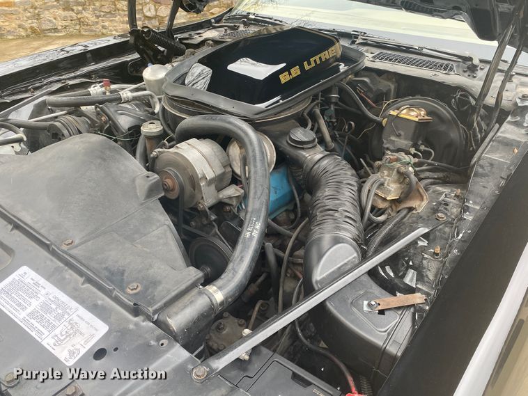 image for item DM4045 1979 Pontiac Trans Am