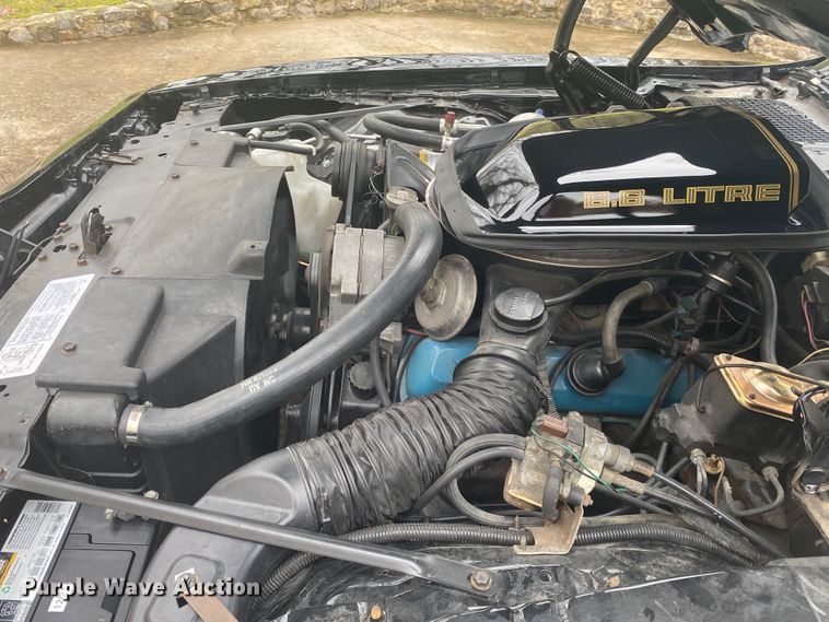 image for item DM4045 1979 Pontiac Trans Am