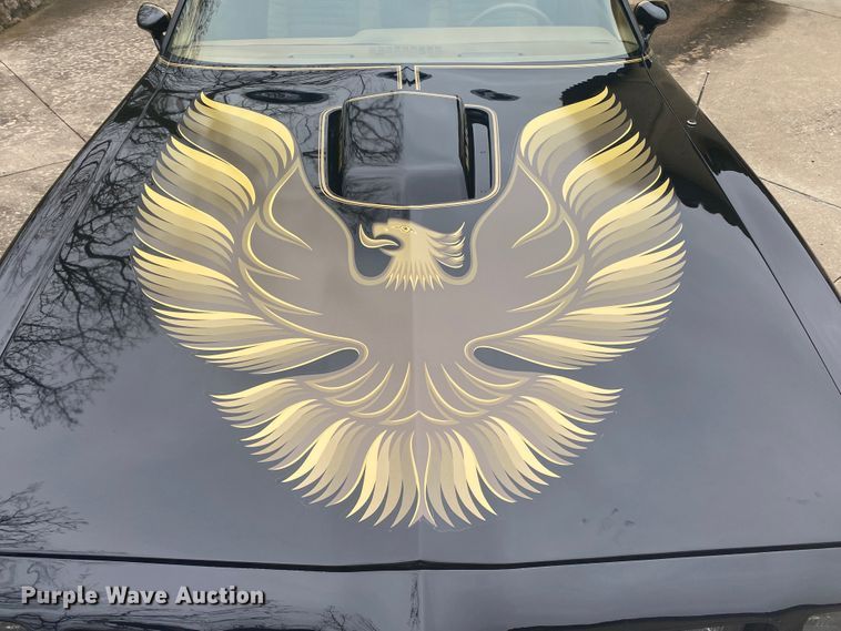 image for item DM4045 1979 Pontiac Trans Am