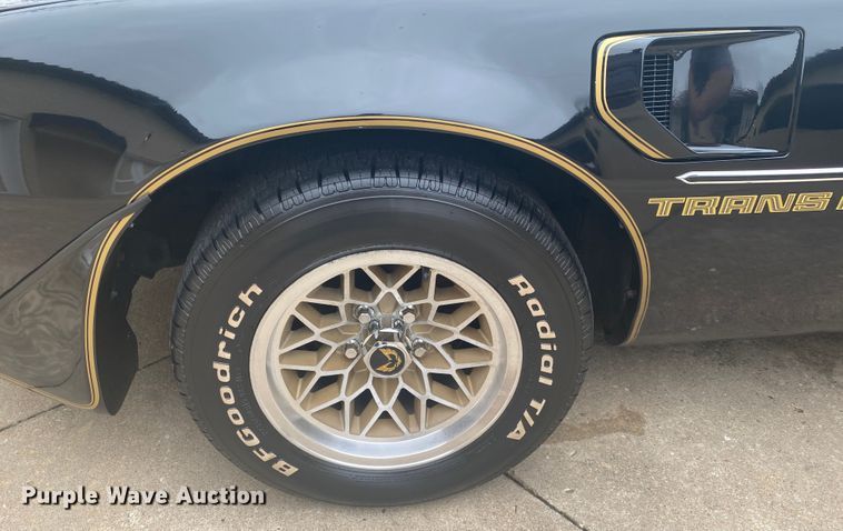 image for item DM4045 1979 Pontiac Trans Am