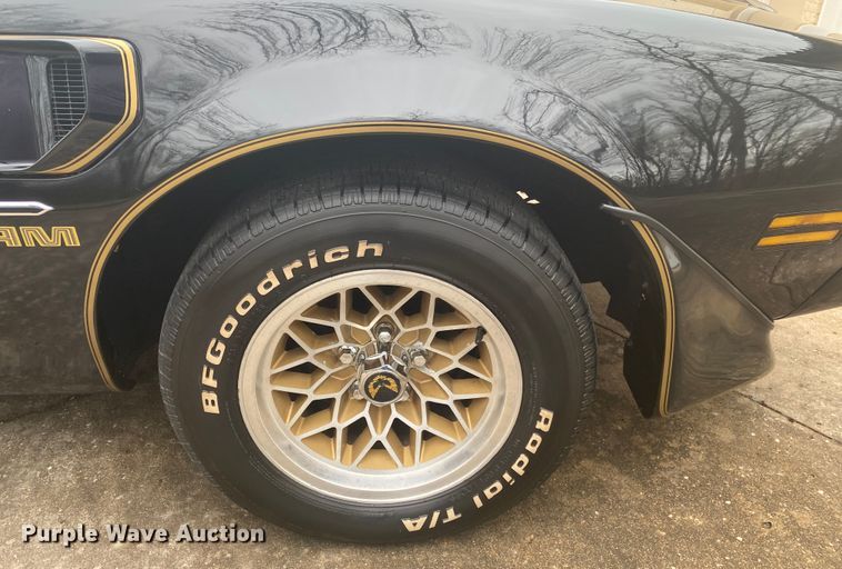 image for item DM4045 1979 Pontiac Trans Am