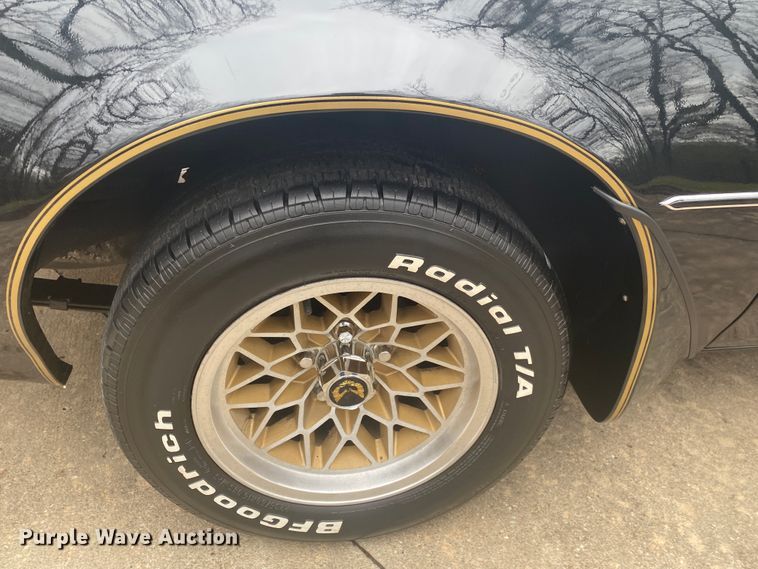 image for item DM4045 1979 Pontiac Trans Am