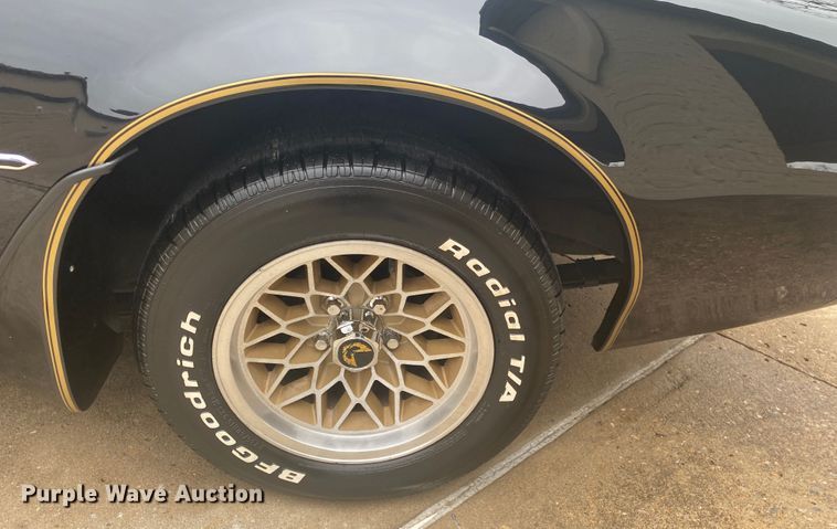 image for item DM4045 1979 Pontiac Trans Am