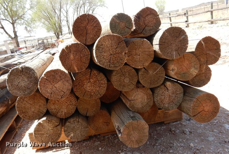 image for item DN0268 Approximately 177 timbers