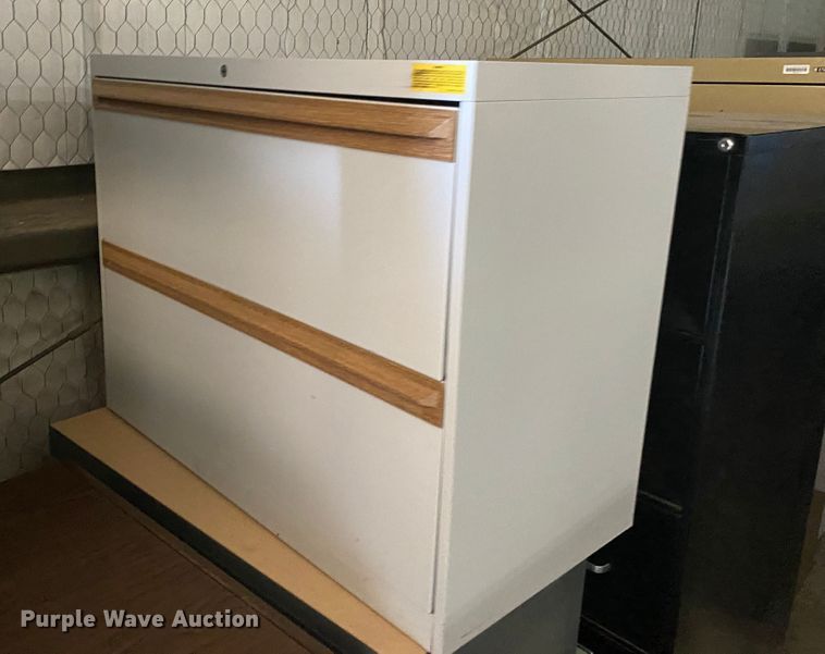 image for item JL9043 Approximately 25 file cabinets