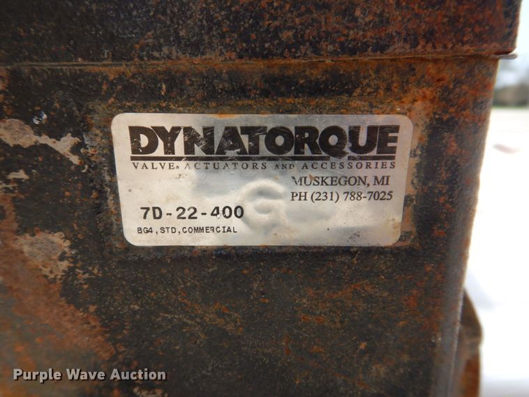 image for item MF9061 12" gate valve