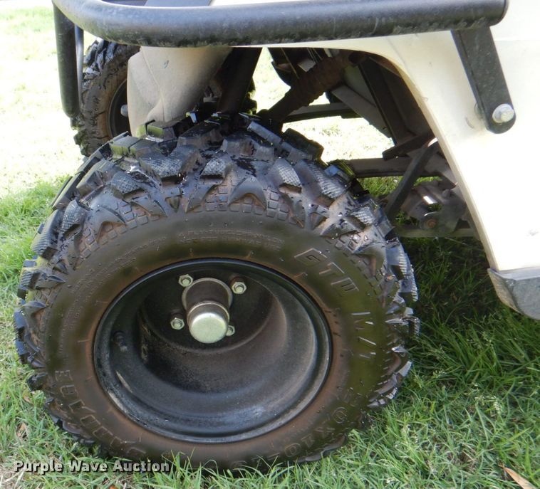 image for item DH7368 2013 EZ GO Textron  golf cart