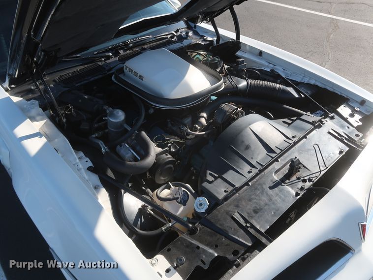 image for item DK3498 1978 Pontiac Trans Am