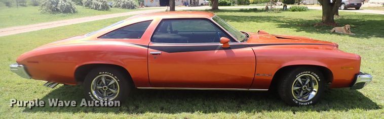 image for item DI1912 1973 Pontiac GTO