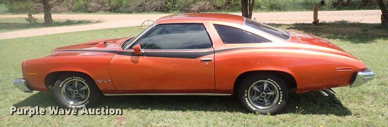 image for item DI1912 1973 Pontiac GTO