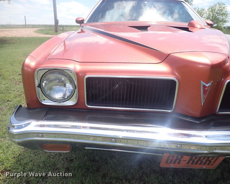 image for item DI1912 1973 Pontiac GTO