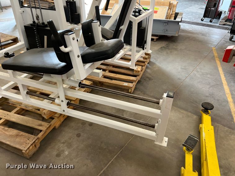 image for item DR1437 Weight lifting machines