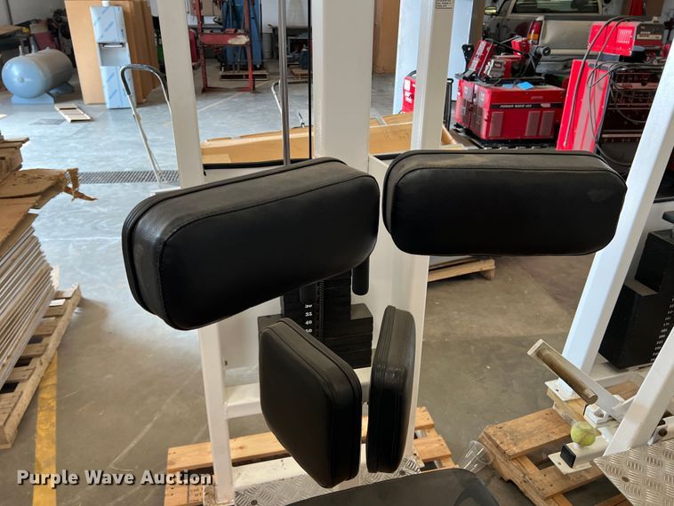 image for item DR1437 Weight lifting machines