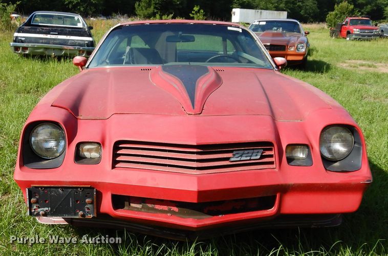 image for item DK8290 1981 Chevrolet Camaro 