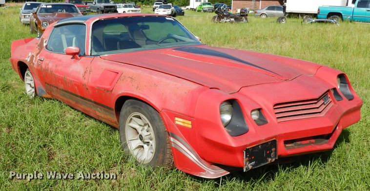 image for item DK8290 1981 Chevrolet Camaro 
