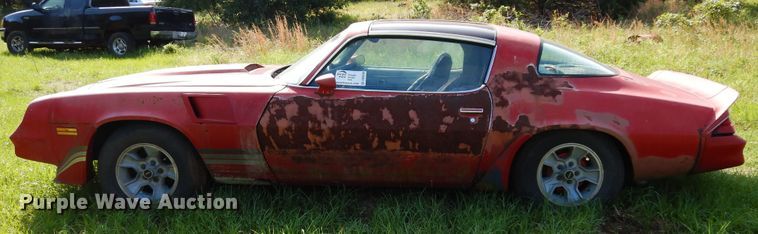 image for item DK8290 1981 Chevrolet Camaro 