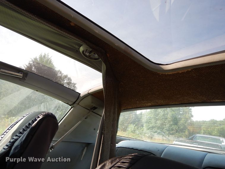 image for item DK8290 1981 Chevrolet Camaro 