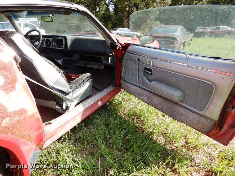 image for item DK8290 1981 Chevrolet Camaro 