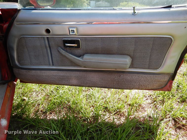 image for item DK8290 1981 Chevrolet Camaro 