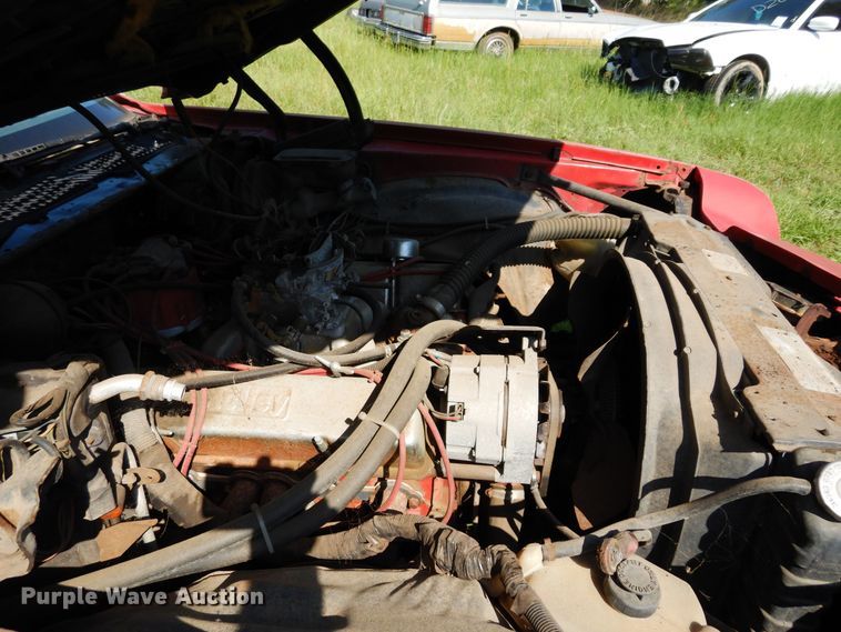 image for item DK8290 1981 Chevrolet Camaro 