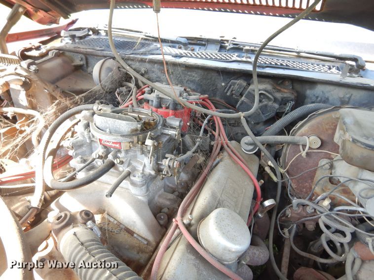 image for item DK8290 1981 Chevrolet Camaro 