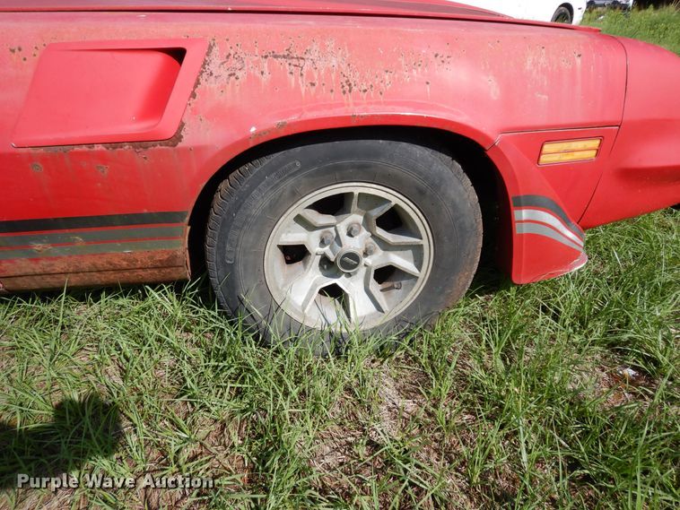 image for item DK8290 1981 Chevrolet Camaro 