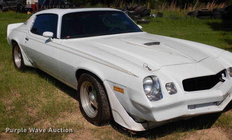 image for item DK8299 1979 Chevrolet Camaro 