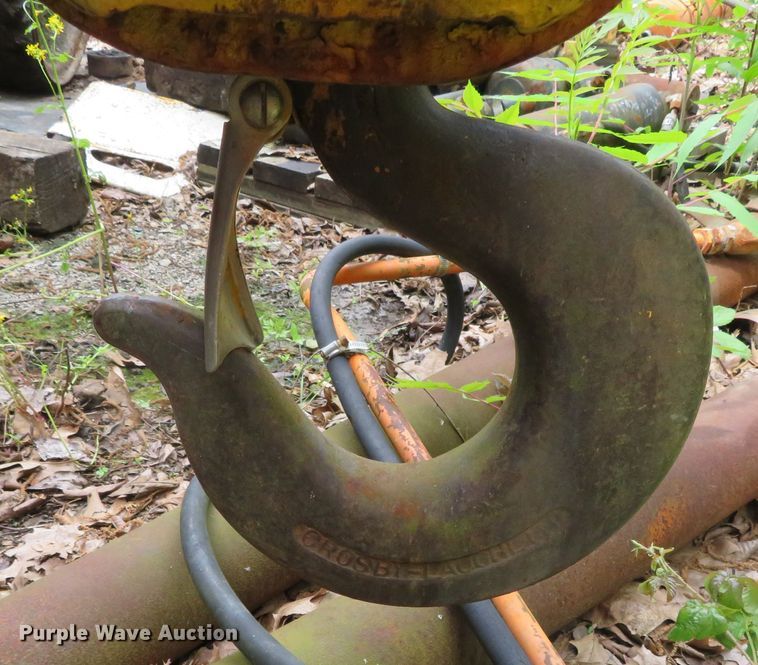 image for item DN7997 DRH Johnson 5529  crane block and hook