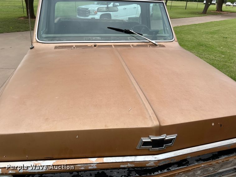 image for item DS8276 1969 Chevrolet C10  pickup truck