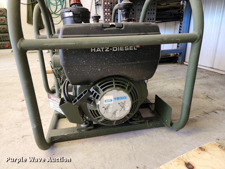 image for item DL6641 (2) pumps