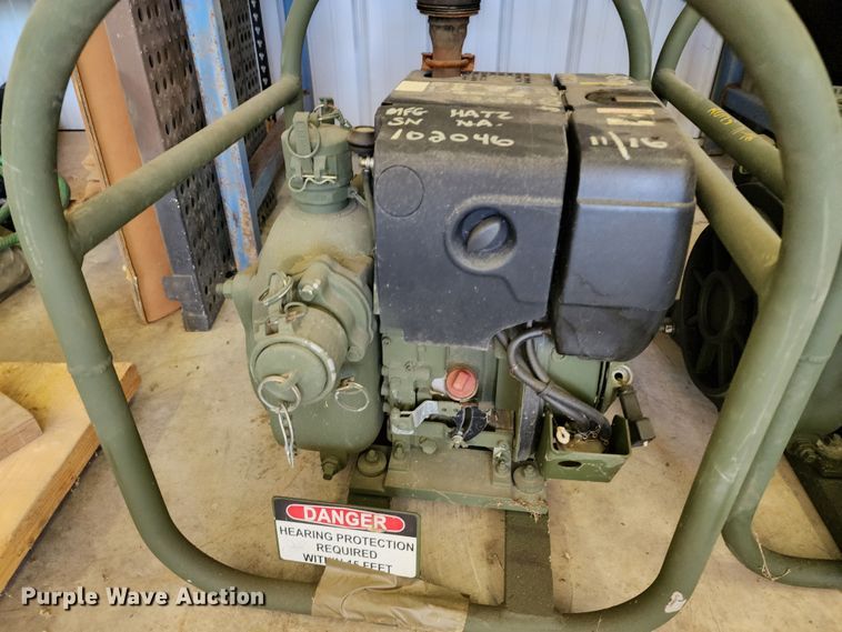 image for item DL6641 (2) pumps