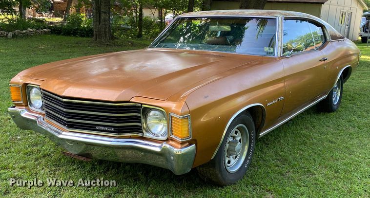 image for item DM4171 1972 Chevrolet Chevelle Malibu