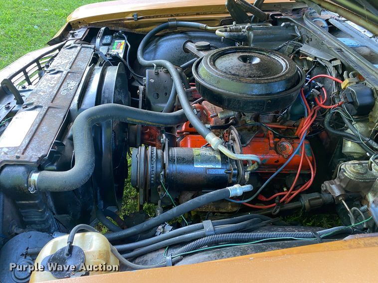 image for item DM4171 1972 Chevrolet Chevelle Malibu