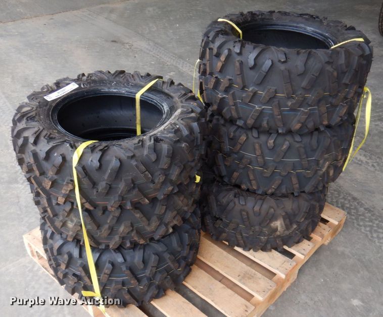 image for item MU9647 (6) Maxxis Bighorn 2.0 tires