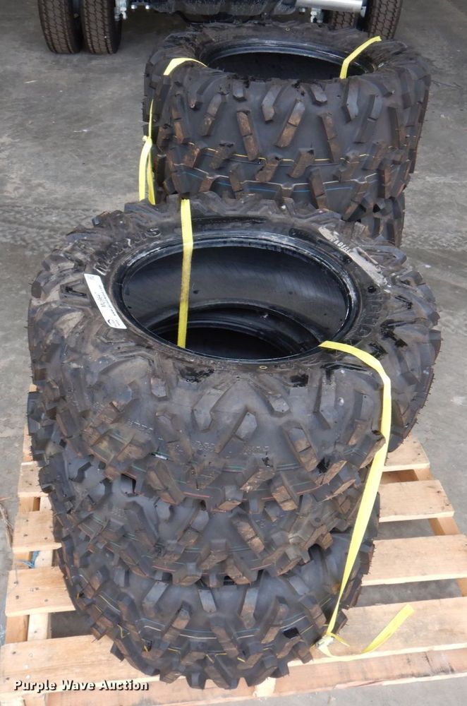 image for item MU9647 (6) Maxxis Bighorn 2.0 tires