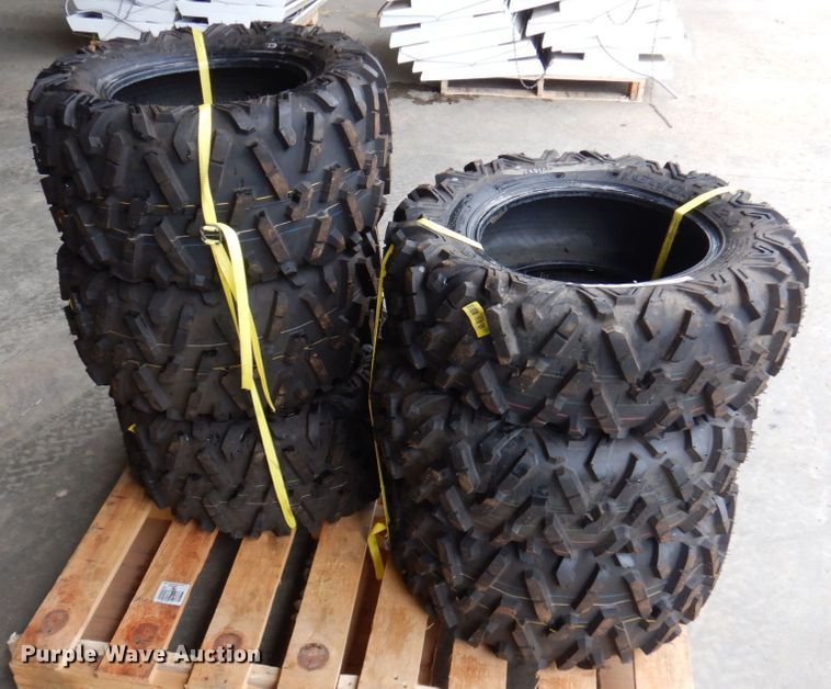 image for item MU9647 (6) Maxxis Bighorn 2.0 tires