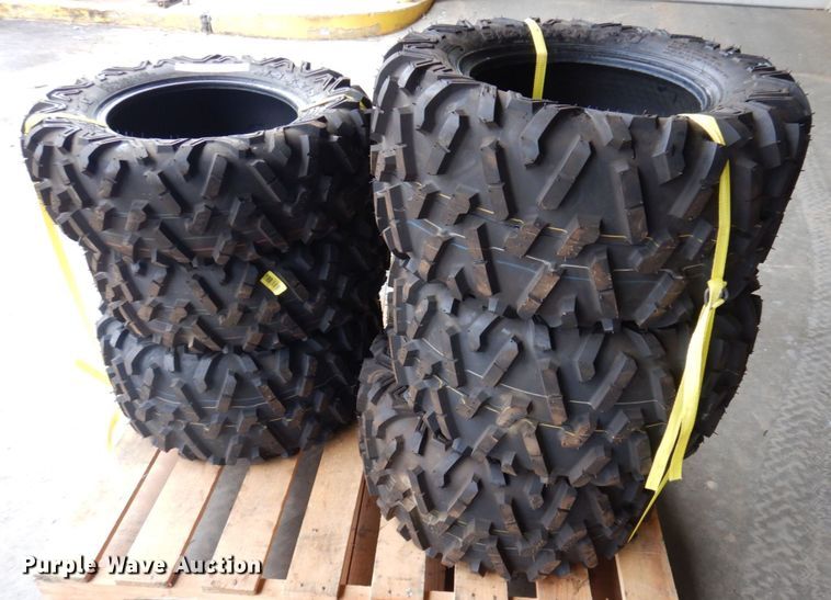 image for item MU9647 (6) Maxxis Bighorn 2.0 tires