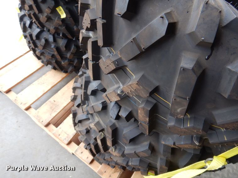 image for item MU9647 (6) Maxxis Bighorn 2.0 tires