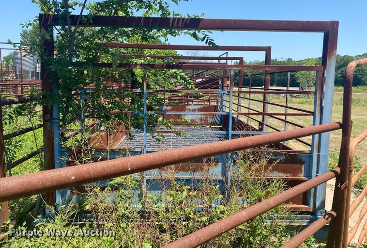 image for item DK6260 Sooner PISON2010-10  livestock scale