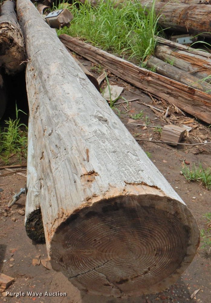 image for item DP4721 Approximately 30 telephone poles