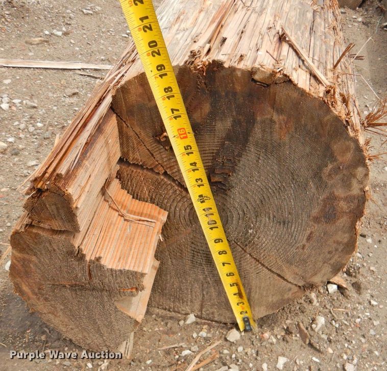 image for item DP4722 (22) telephone poles