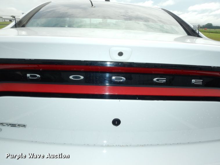 image for item DN1696 2019 Dodge Charger Police 