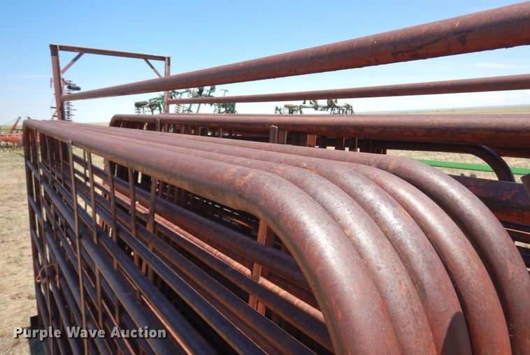 image for item LT9924 Shop built livestock chute