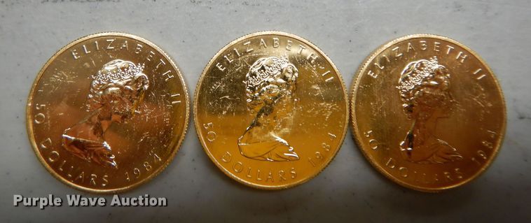 image for item KS9847 (3) 1984 Canadian $50 one ounce fine gold coins