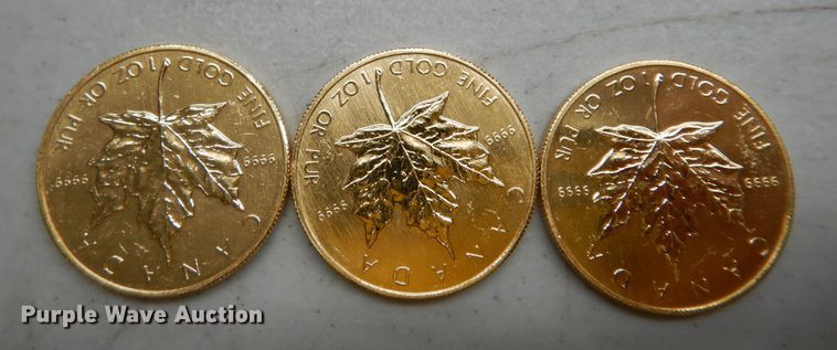 image for item KS9847 (3) 1984 Canadian $50 one ounce fine gold coins