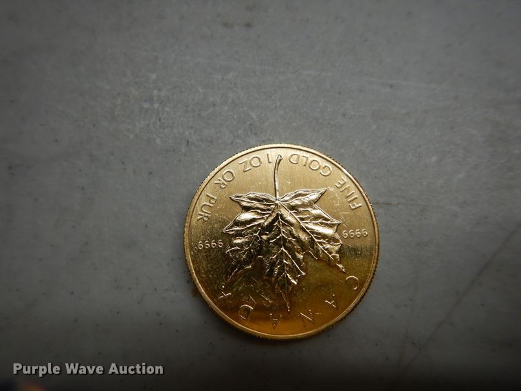 image for item KS9847 (3) 1984 Canadian $50 one ounce fine gold coins