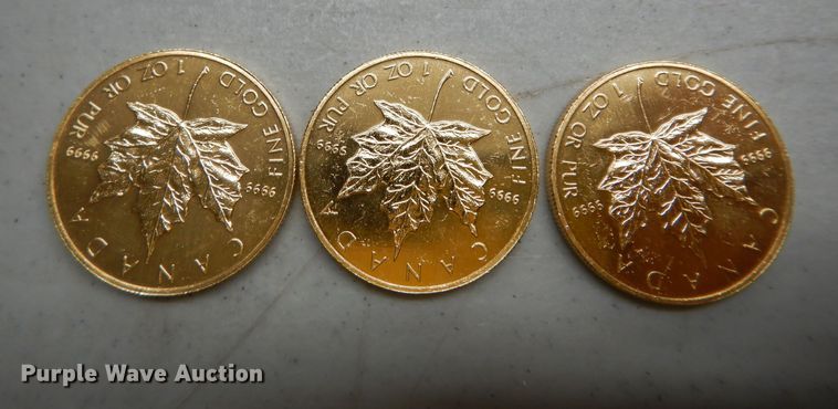 image for item KS9848 (3) 1992 Canadian $50 one ounce fine gold coins