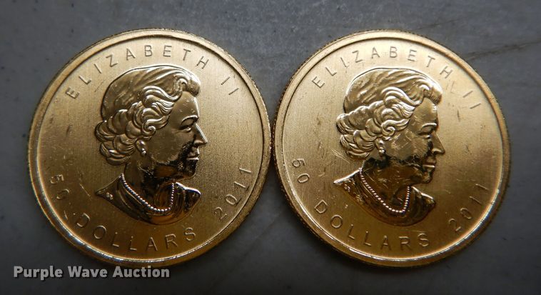 image for item KS9849 (2) 2011 Canadian $50 one ounce fine gold coins