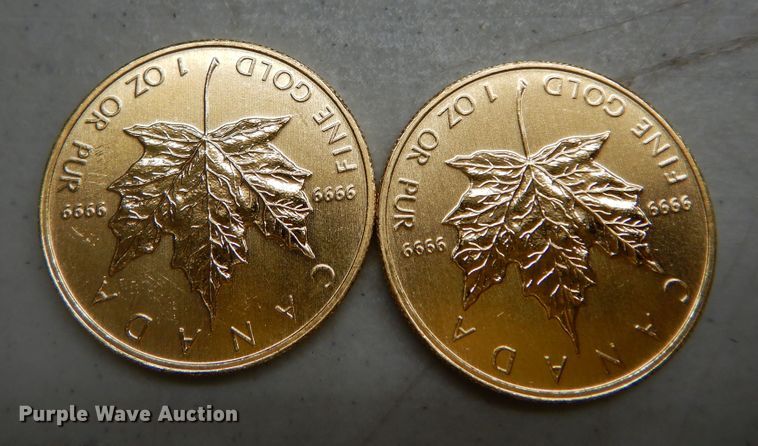 image for item KS9849 (2) 2011 Canadian $50 one ounce fine gold coins